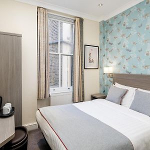 Standaard Kamer met een King Size Bed